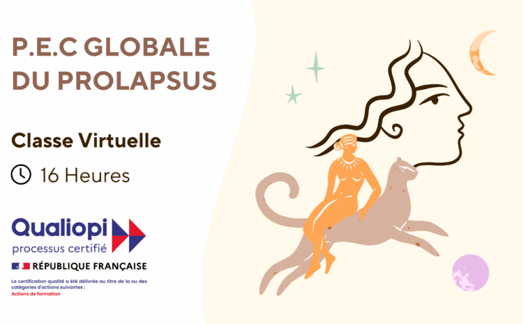 Prolapsus – Une prise en charge globale pour autonomiser les patientes 18/10/2024 – 19/10/2024 (Classe Virtuelle)